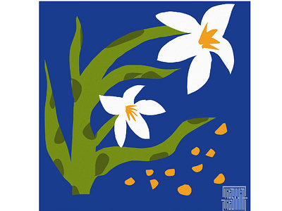 Set of Flowers Card for u&u cards design flat flower graphic greetings illustration spring vector illustration woman