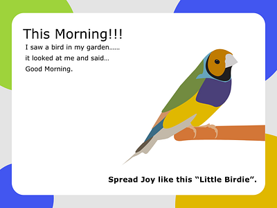 Little Birdie ads advertisement bharatnivas chennai illustration vector