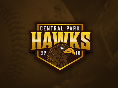 Central Park Hawks Logo Concept