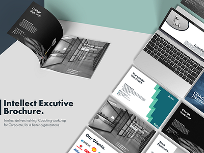 Brochure | Intellect Executive