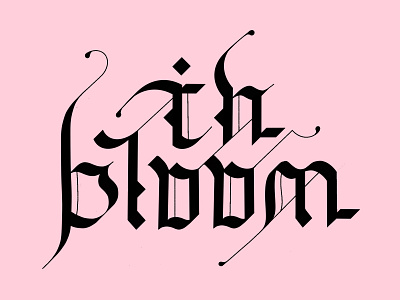 in bloom alternate gothic alternates black blackletter experimental font goth gothic lettering lettering art letters procreate procreateapp tipography type