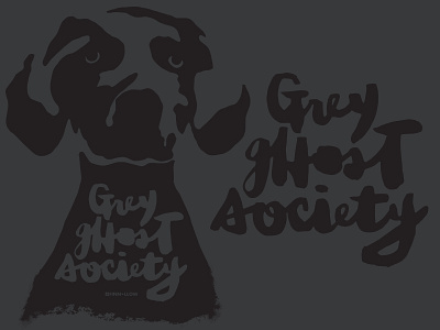 Grey Ghost Society brush lettering brush script grey ghost society hand lettering lettering sumi sumi ink typography weim weimaraner