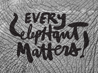 Every Elephant Matters bold brush lettering brush script elephant elephants hand lettering lettering sumi sumi ink typography
