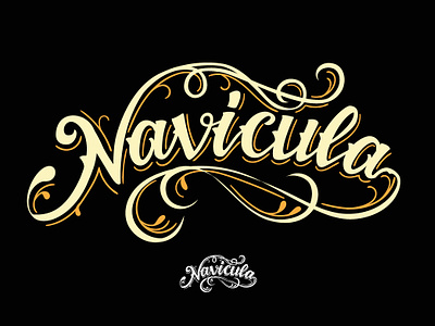 Navicula custom letter custom lettering custom type display font hand lettering lettering lettering art lettering daily logotype navicula practice typeface design