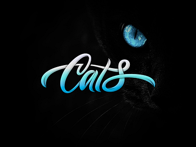 Cats by Letterspell on Dribbble