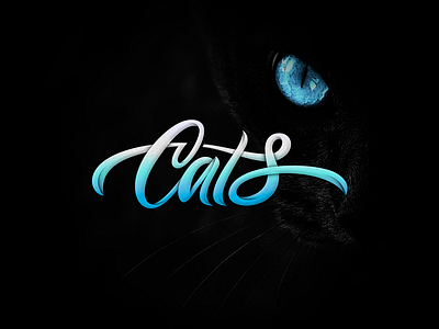 Cats brushlettering cats hand draw lettering letters logotype script type typedesign typography