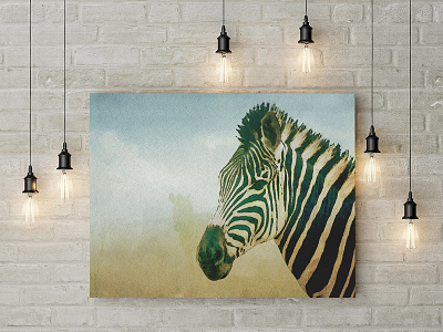 Zebra In The Mist animal print exotic animal wall decor wild animal zebra