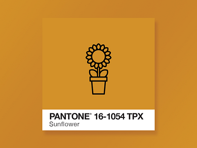 Sunflower Pantone Icon. colors dave gamez flat design icon iconography line art pantone pantone colors sun sunflower