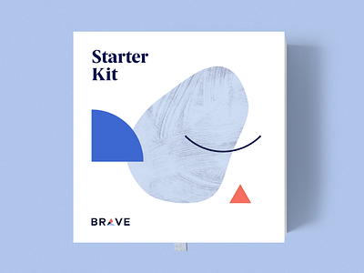 Brave Health Kit