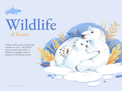 Wildlife of Russia: Polar bear animals art illustration illustrator nature polar bear wild winter