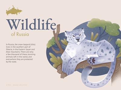 Wildlife of Russia: Snow leopard animal art design graphic illustration irbis nature snow leopard