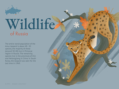 Wildlife of Russia: Amur leopard animal art graphic illustration leopard nature