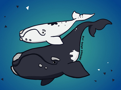Southern Right Whale and calf calf illustration illustrator southern right whale vector art whale