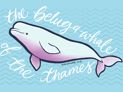 Beluga Of The Thames beluga design illustration thames whale