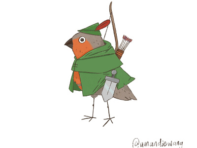 Robin Hood bird character design illustration procreate