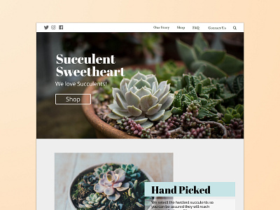 Succulent Sweetheart online store screen ui ui ux web design web ui