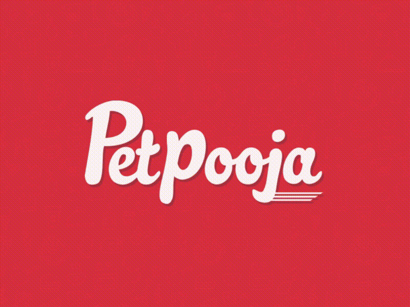 Petpooja Visual Identity animation app icon app icon design branding branding and identity design food illustraion logo logo design ui ux vector visual identity