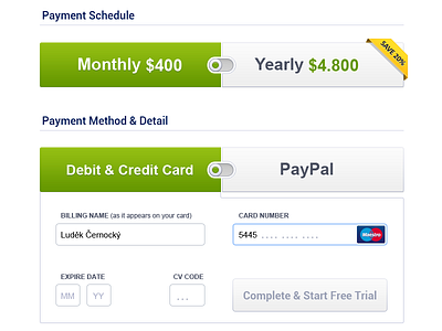 Payment Page - Last Step billing buttons checkout credit card design ecommerce payment switcher ui