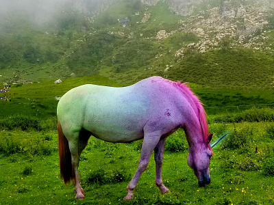 Unicorn photo photoshop rainbow unicorn