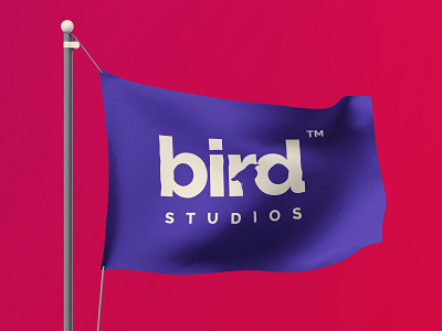 bird studio logo bird flag logo studio
