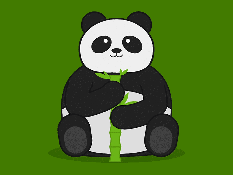 Panda eating bamboo 2d animation bamboo cute design gif graphics motion motiondesign motiongraphics panda