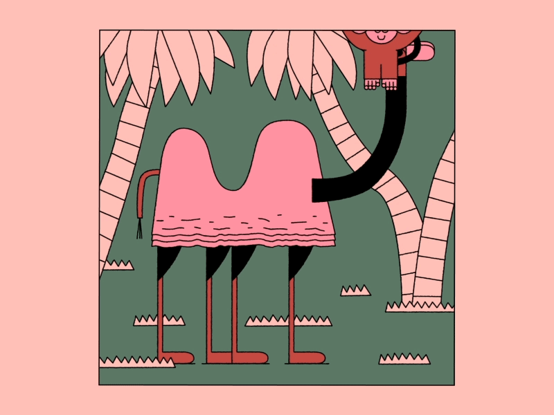 Camel gif dribbble