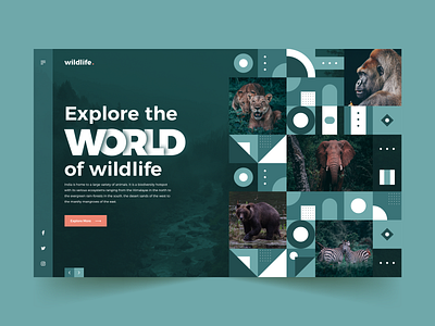 Wildlife Landing Page app app design app designer design landing page design landingpage natural nature nature illustration pagedesign ui uiuxdesign ux