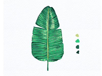 Botanical Illustration 01