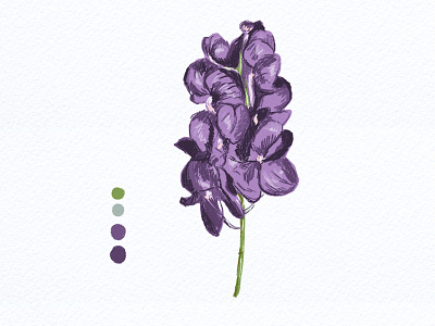 Botanical Illustration 05 botanical art botanical illustration flowers illustration illustration