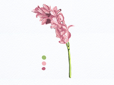 Botanical Illustration 06 botanical art botanical illustration flowers illustration illustration