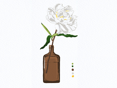 Botanical Illustration 08