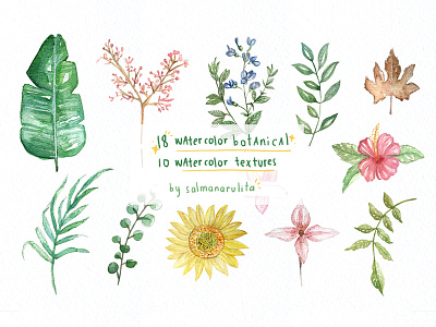 Watercolor Botanical & Texture - Graphic Set art botanical botanical art branding creative market design elements digital art floral flowers graphic design illustration leaves watercolor