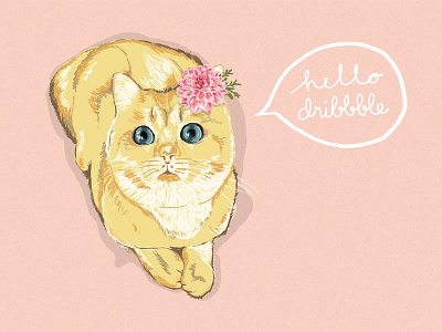 Hello Dribbble! botanical cat character debut drawing dribbble first floral illustration pet pet illustration shot
