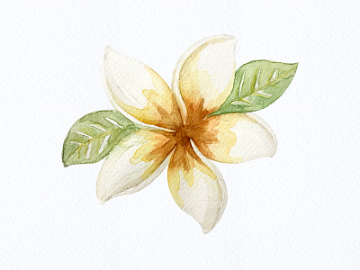 Botanical Illustration 15