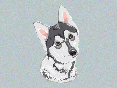 Dog Illustration branding design dog dog illustration fiverr freelance graphic design illustration logo pet pet illustration