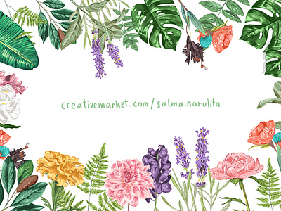 Colored Botanical Illustration - Graphic Set