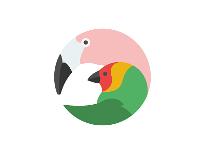 Flamingo & Finch Logo Concept