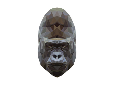 Gorilla adobe animal color design geometric gorilla illustration illustrator triangle
