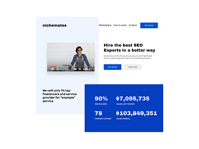 Nichemates - Freelance Landing Page Design