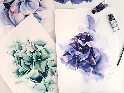 Watercolor hydrangea