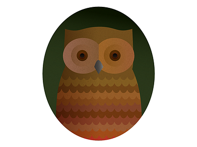 Cozy Owl affinity animal bird grange illustration owl wild