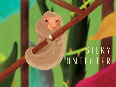 Silky Anteater adobe design illustration illustrator cc poster vector