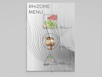 Future menu in Rhizome