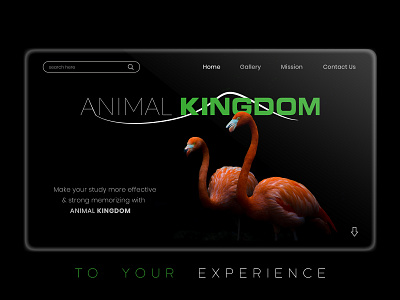 Animal Kingdom animal bird black theme branding creative design experience green home page design home screen kingdom sanctuary study tablet app typography ui design unique ux design web page web site