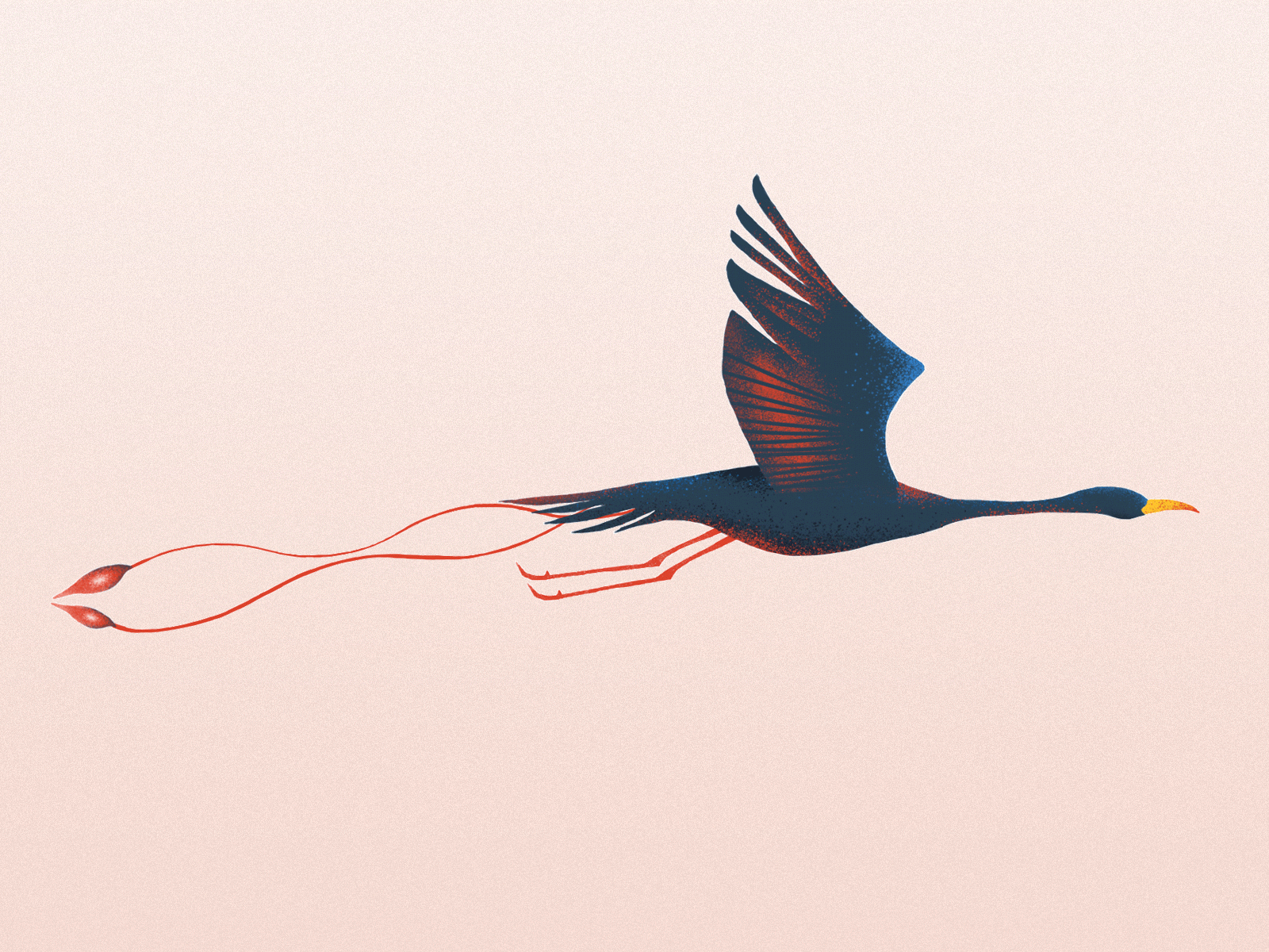 Phoenix Animated Bird by Elizaveta Pudlo on Dribbble
