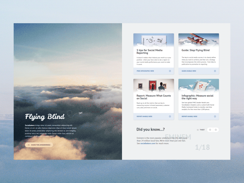 Flying Blind ae animation clean flat layout microsite simple site ui web website