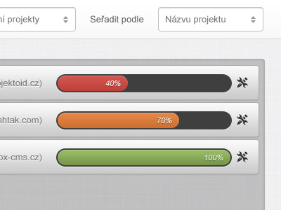 Projektoid.cz - Status of Projects app crm design gray green grey interface orange percent project red status todo ui web webdesign website