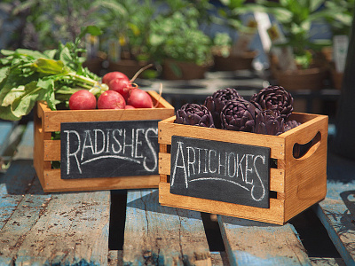 Radishes & Artichokes chalk art design hand drawn type hand lettering lettering type typography vinncentiuss