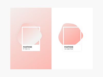 Pink Pantone gradients