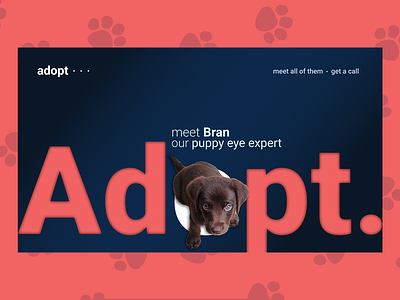 Adopt adopt animal design dog ui web webdesign